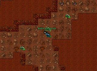 ED033 Scarabs -3