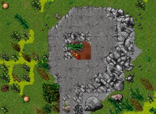 Hammpion 1 25335