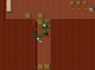 Stupid mage