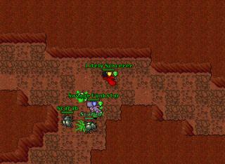 ancient scarabs