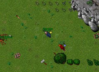 poh invasion