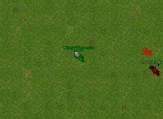 double kill 11000