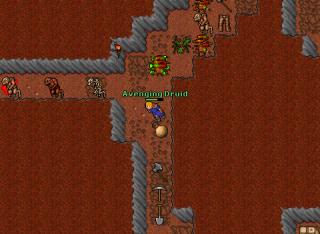 ED24 Senja Hunt