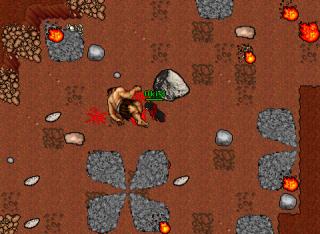 druid13drag