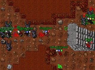 Neworian · Tibia 8.20
