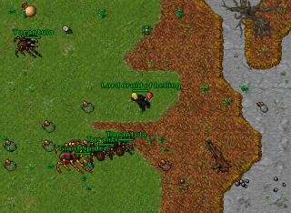 [Solera] Hills battle
