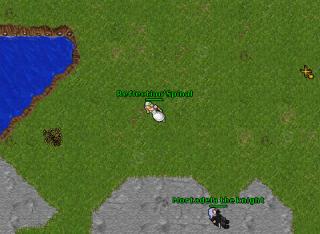 dandi dead 9935