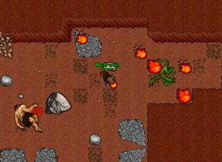 dragonlvl16