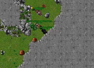 Dark-otto · Tibia 8.54