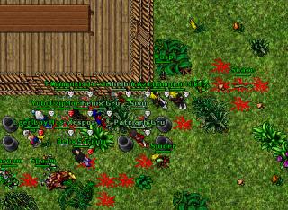 120~elysia