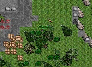 dragonhuntedron