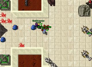 Arioc Scalp · Tibia 8.40