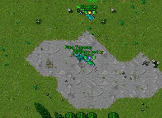 killing 100 mage