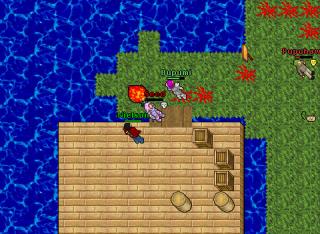 Seed · 1 Oct 2004