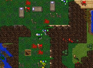 Elf Fortess Quest