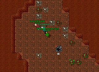 Dwimeron de'Qel · 10 Aug 2005