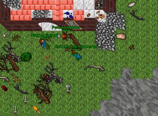 Cuttlefish Sorceror · 14 Feb 2004