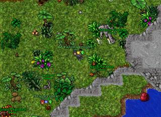 Vk Forbidden Land 90
