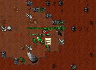 Professor Inocencio Girafales · Tibia 8.54