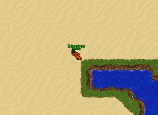 killinnoobsorc 13560