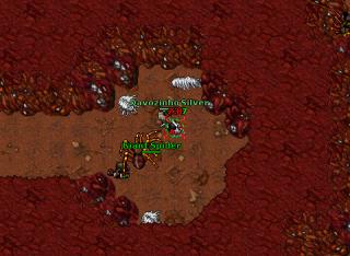 Davozinho Silver · Tibia 8.41