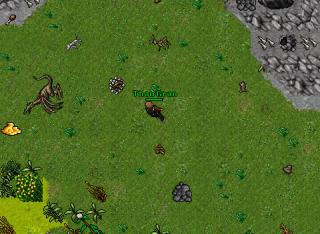 testservervenore 26841