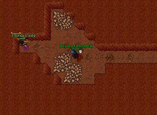 Pking 9397