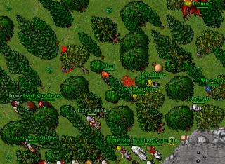 orsha pk