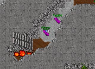 Plikzor · Tibia 8.41