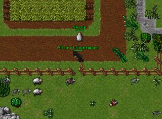 magic sheep