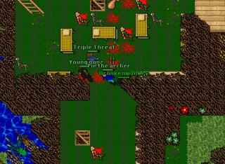 elf quest