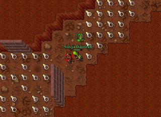 stalker beach