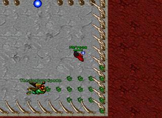 noxiusspawn5