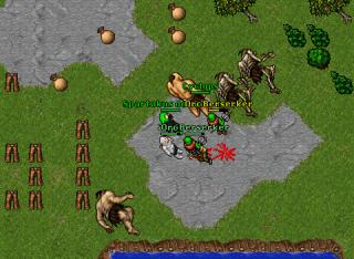 lvl 33 sorc owned 9051