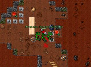 Professor Inocencio Girafales · Tibia 8.54