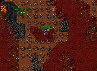 Lady Loopie · Tibia 8.54
