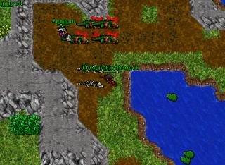 61rpbotter elysia