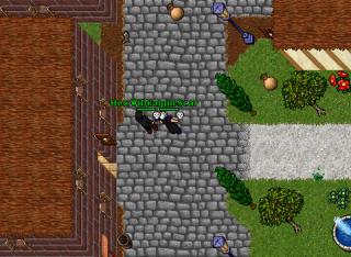 LoatheRoD 2008-03-19 MightySS DS