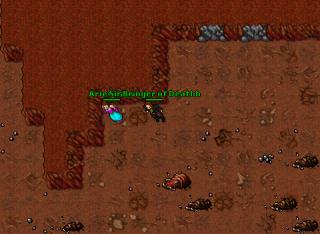 Aries Mage botting 34513