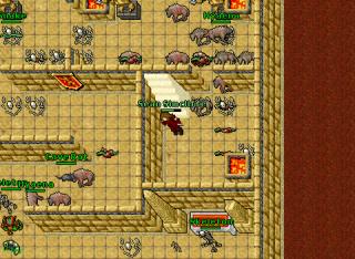 Ank Hunting Tutorial