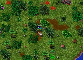 elephant tusk quest 9177