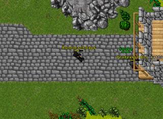 Bunnie war 11418