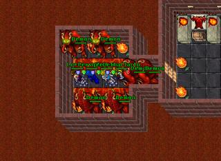 Zenoxx · Tibia 8.20