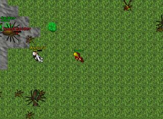 Gateway in poh