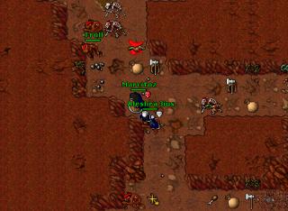 Shanera EK98 Down