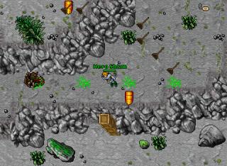 Eleonore Quest 14740