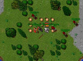 Girafales on Mainland · Tibia 8.54