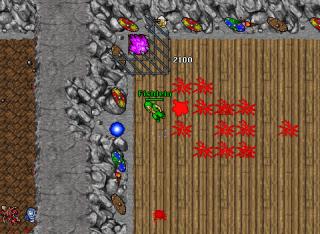 arena3 26294