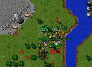 55 RP RS