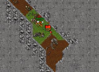 Madsto · Tibia 8.40